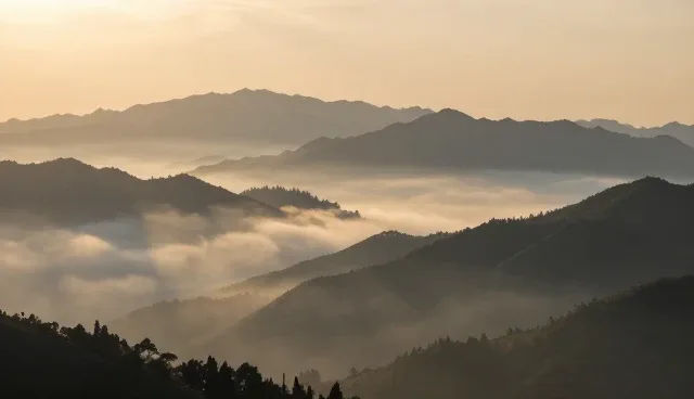 短视频在域名营销中的多场景应用分析
