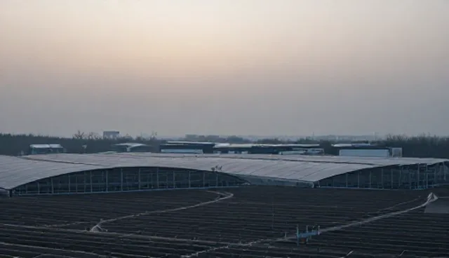 健康评估服务：选型要点与使用建议
