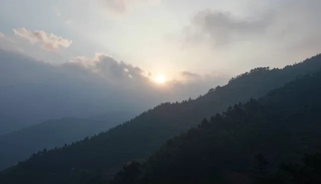 高峰期排队现象如何影响餐饮配套系统选型