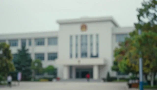 武汉专业建站：区域查询服务的检查要点解析