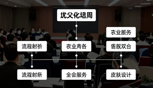流程优化中性能与适用条件的匹配策略