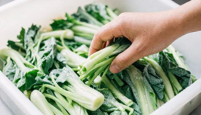 食材运输中的安全挑战与应对策略