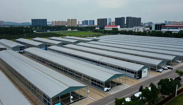 汽车年检代办常见问题与解决方案