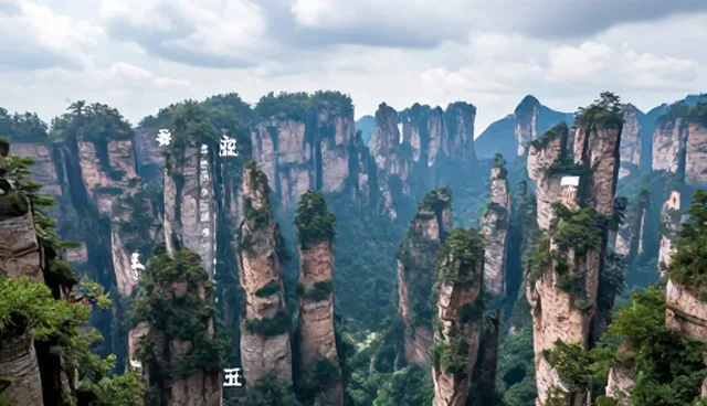 多场景下团队协作对会议接待效率的影响分析