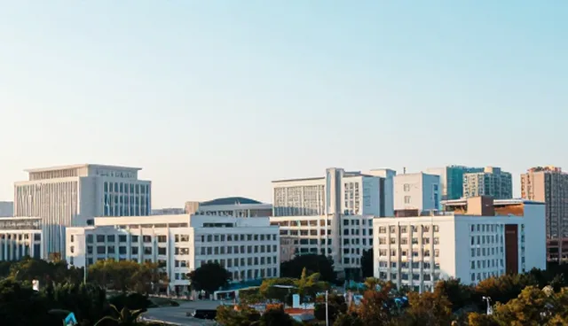 提升管理效率：软件开发中的使用与维护建议