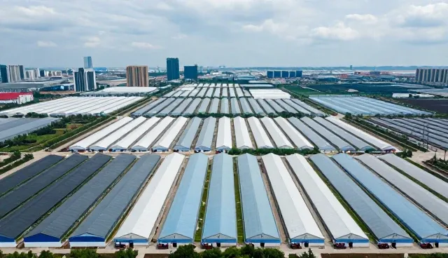 节点可查在不同场景下的适用条件分析