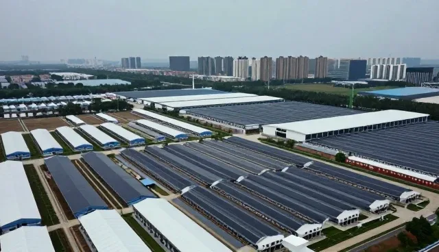 企业选择AI算法模型服务时的五大关键考量