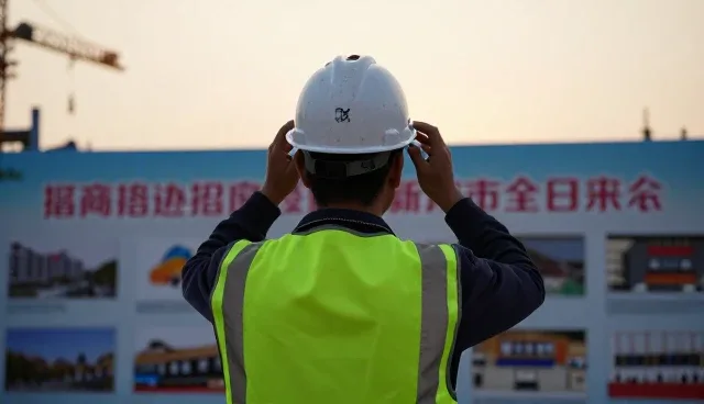 企业名录查询的性能优化与适用场景分析