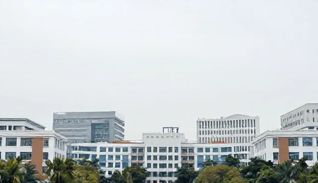 接口对接服务如何适应复杂业务场景下的稳定性需求