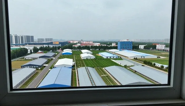 性能优化中的常见问题与实用处理方案