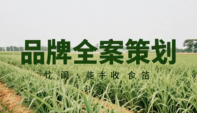 制造业品牌策划如何应对市场变化