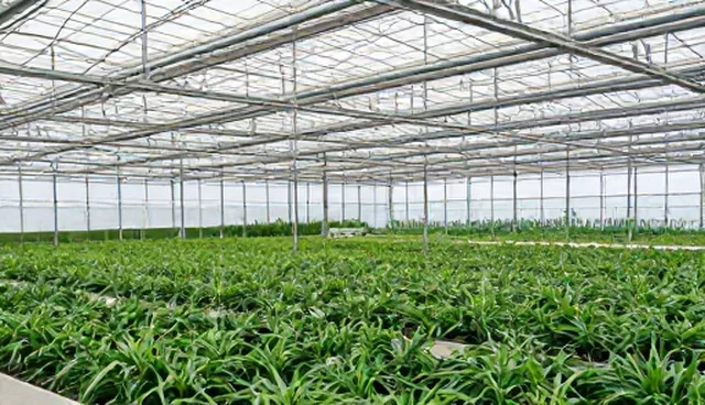 局部改造中维护技巧的适用条件与选择依据