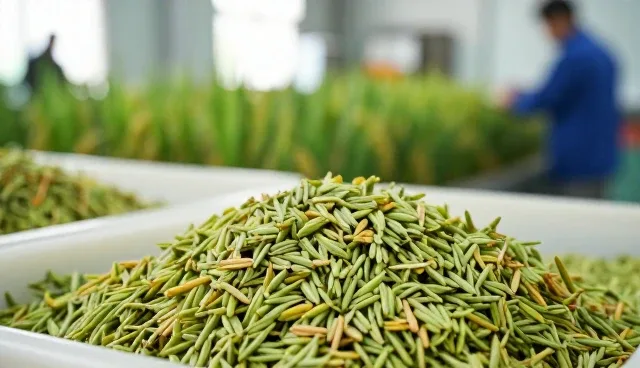 物流优化中的加工产品使用建议
