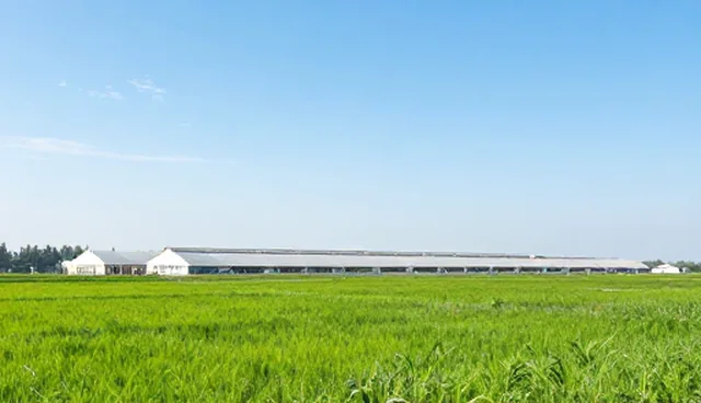 集采平台在供应链管理中的实际应用与优化路径