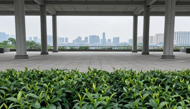 应用场景分析：节点可查在业务流程中的常见问题与处理方法