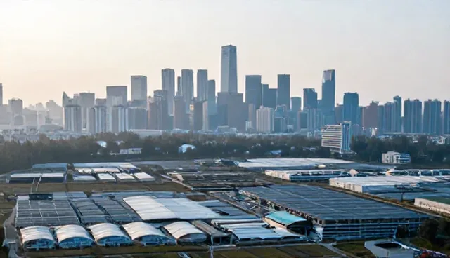 技术整合中的网站建设常见问题与应对策略