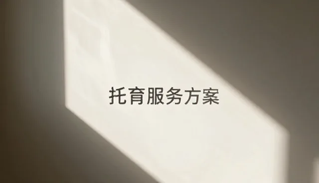 工具选择在项目咨询中的关键作用与实际应用