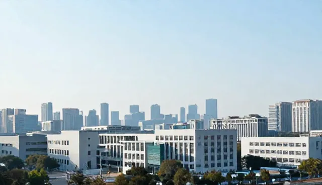企业管理系统维护建议：适用情况与限制解析