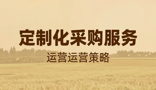 商品采购适配方案在供应链中的实际应用与维护技巧