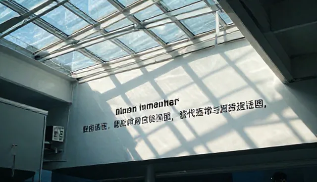正则表达式提示词：内容优化中的精准应用分析