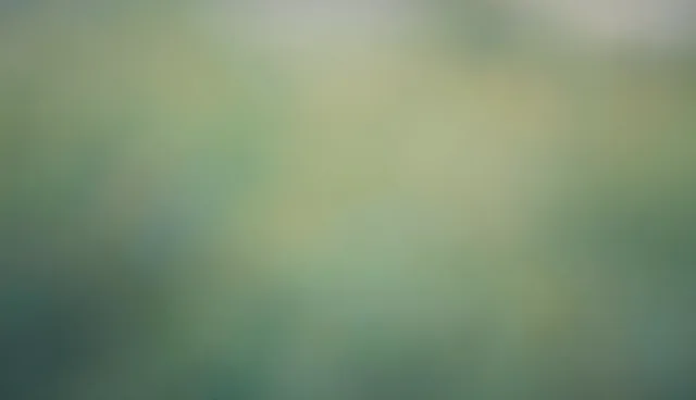 标准化保洁套餐：如何满足不同场景的消杀需求