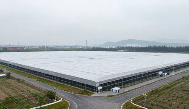 门诊服务检查要点解析及常见问题处理方法