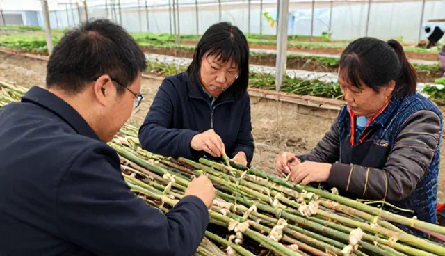 维护技巧在技术推广中的实际应用分析
