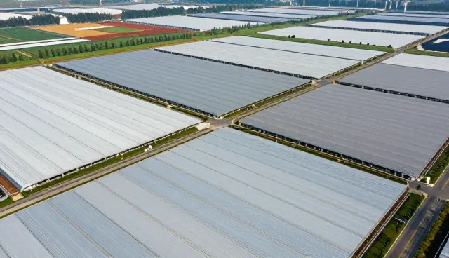 APP开发中域名选择对性能与适用条件的影响分析