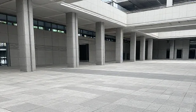 技术开发服务模式适用情况与限制分析