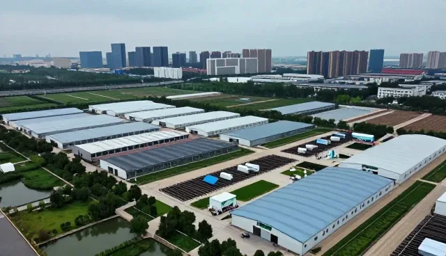个性化治疗在康复指导中的实践与发展方向