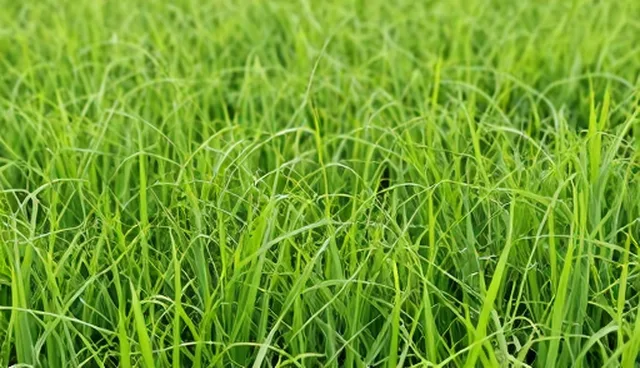 内容驱动下的新媒体运营流程革新