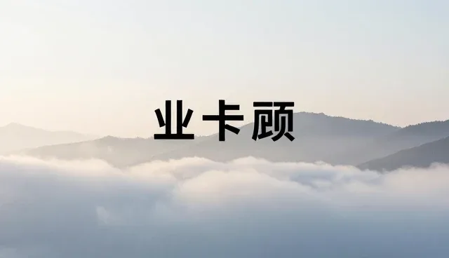 平面设计选型中使用维护的关键考量