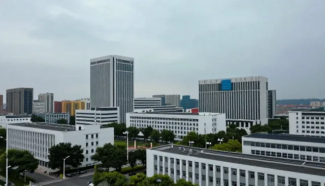 品牌项目咨询的应用场景与限制分析