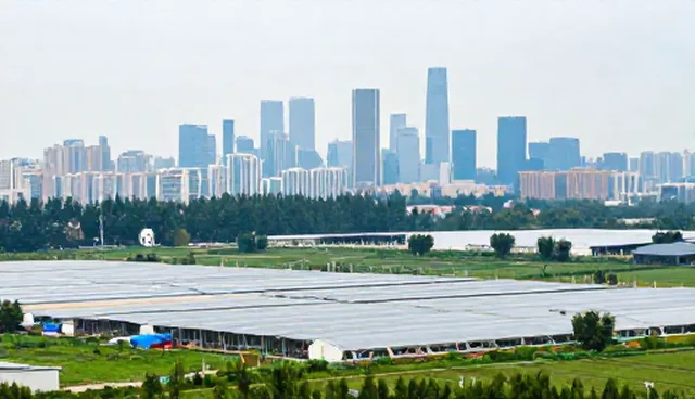 提升数据准确性：企业管理咨询在实际场景中的应用价值