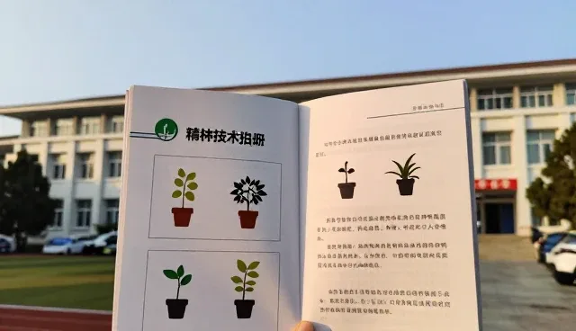 农产品流通中仓储保鲜服务的关键选型要素分析