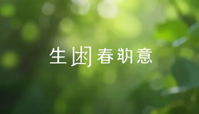 平面设计使用与维护中的选型关注点解析