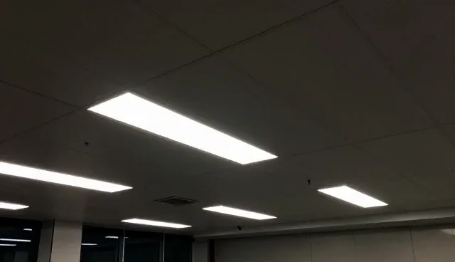 功能分区与材料供应的协同演进趋势