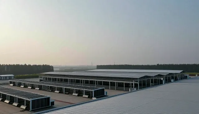 涿州软装搭配中的网络性能优化与实际应用分析