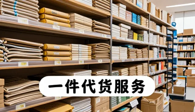一件代发模式下的选型标准与应用场景分析