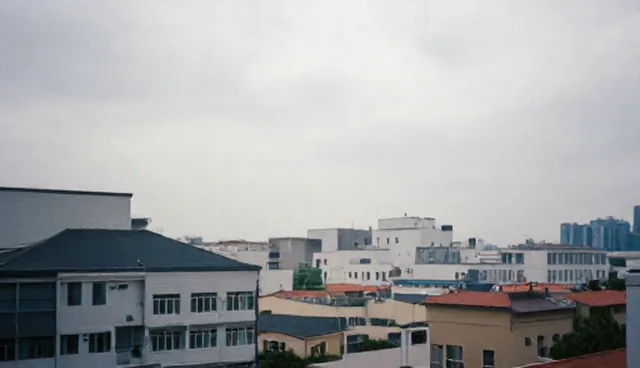 技术转让设计等业务检查要点解析