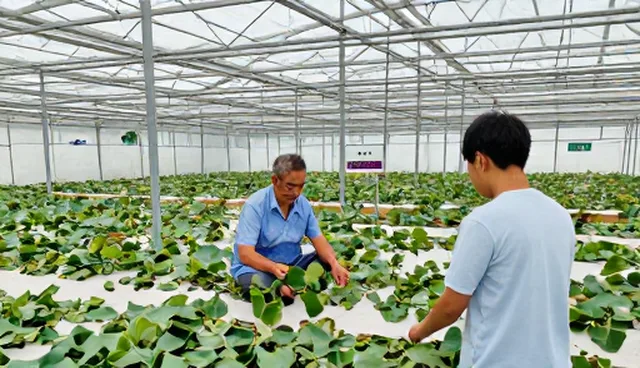 康复指导使用与维护的5大检查要点