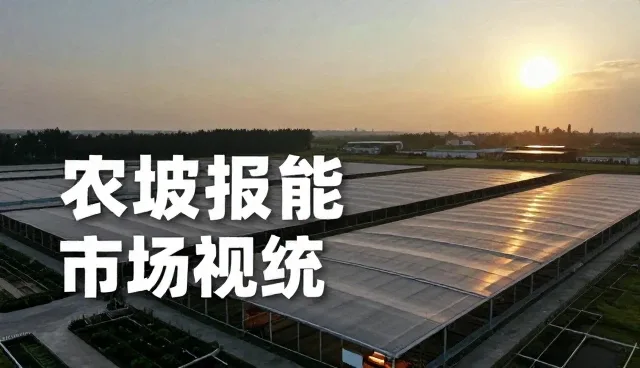 误区澄清：市场调研分析中忽视数据来源的后果