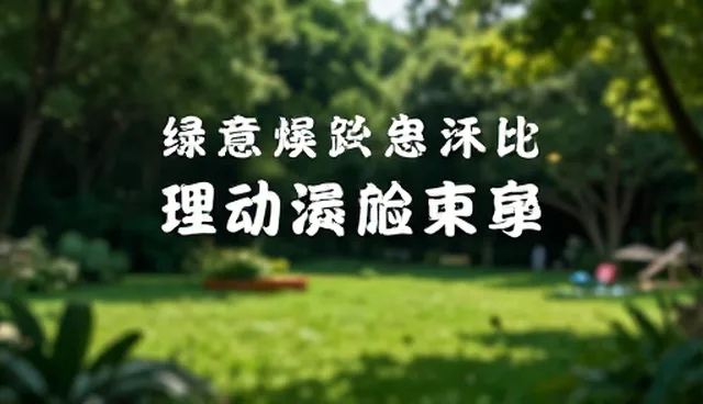 媒介投放定制化方案适用条件与选择依据