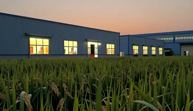 自动分装：选择依据与使用维护建议