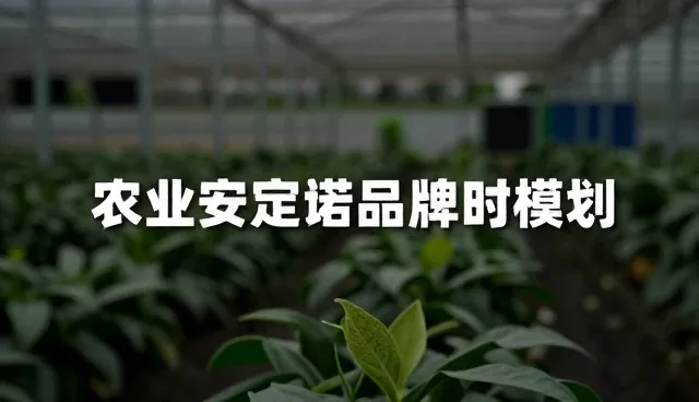 品牌内容策划更高效的方法与实施建议
