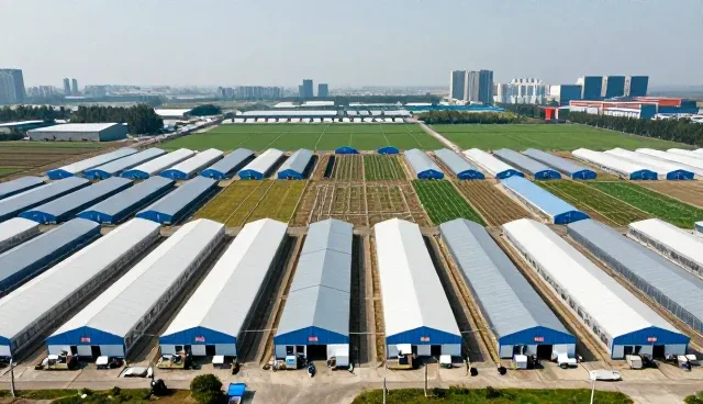 电商运营中公众号开发的常见误区与维护要点