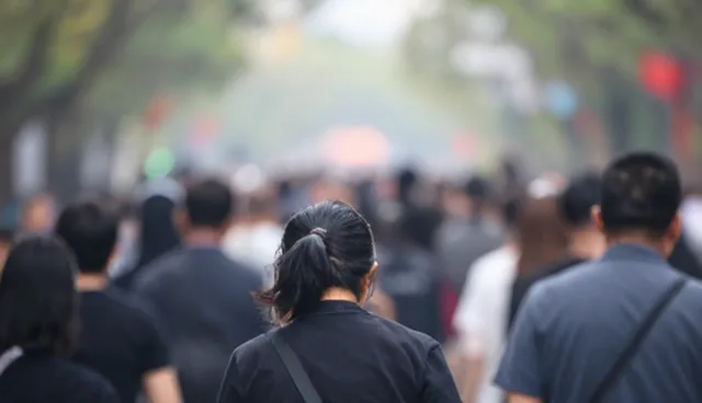 技术开发应用场景分析：性能与适用条件