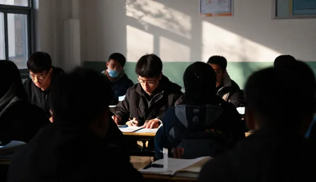 提升学习效率的关键：学习支持系统的实际应用
