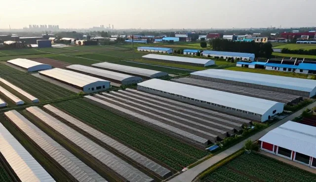 短视频运营中对象覆盖的拓展与挑战