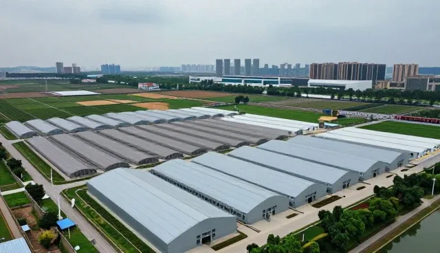 技术外包服务中业务优化的实践路径与维护策略